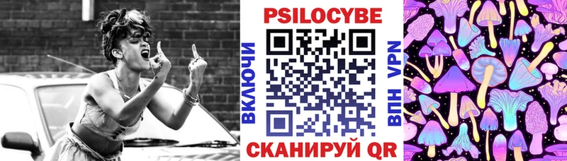 гидра как зайти  Тарко-Сале  Галлюциногенные грибы прущие грибы 